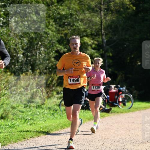 27.09.2026 - 35. Volkslauf durch das schöne Alstertal Dr. Thomas Lammeyer http://msf.ph/oto/10576814 27.09.2026 11:46:51 Laufen 1496, 1129 meine-sportfotos.de
