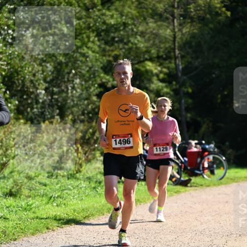 27.09.2026 - 35. Volkslauf durch das schöne Alstertal Dr. Thomas Lammeyer http://msf.ph/oto/10576815 27.09.2026 11:46:51 Laufen 1496, 1129 meine-sportfotos.de