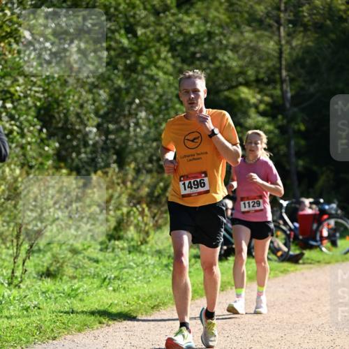 27.09.2026 - 35. Volkslauf durch das schöne Alstertal Dr. Thomas Lammeyer http://msf.ph/oto/10576816 27.09.2026 11:46:52 Laufen 1496, 1129 meine-sportfotos.de