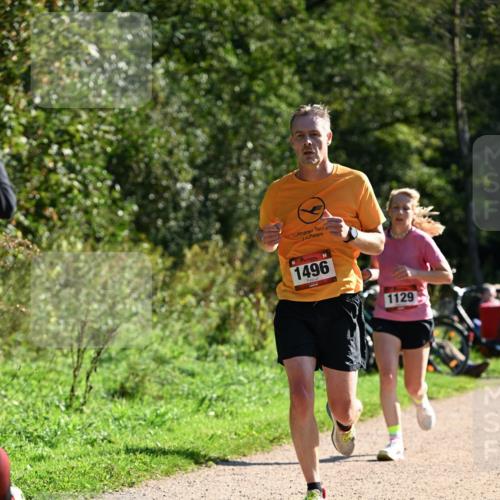 27.09.2026 - 35. Volkslauf durch das schöne Alstertal Dr. Thomas Lammeyer http://msf.ph/oto/10576819 27.09.2026 11:46:52 Laufen 1496, 1129 meine-sportfotos.de