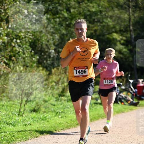 27.09.2026 - 35. Volkslauf durch das schöne Alstertal Dr. Thomas Lammeyer http://msf.ph/oto/10576821 27.09.2026 11:46:52 Laufen 1496, 1129 meine-sportfotos.de