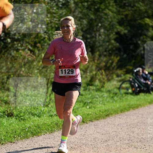 27.09.2026 - 35. Volkslauf durch das schöne Alstertal Dr. Thomas Lammeyer http://msf.ph/oto/10576823 27.09.2026 11:46:53 Laufen 1129 meine-sportfotos.de