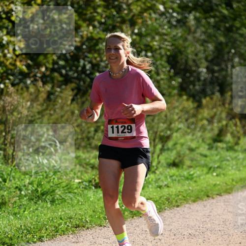27.09.2026 - 35. Volkslauf durch das schöne Alstertal Dr. Thomas Lammeyer http://msf.ph/oto/10576827 27.09.2026 11:46:54 Laufen 1129 meine-sportfotos.de