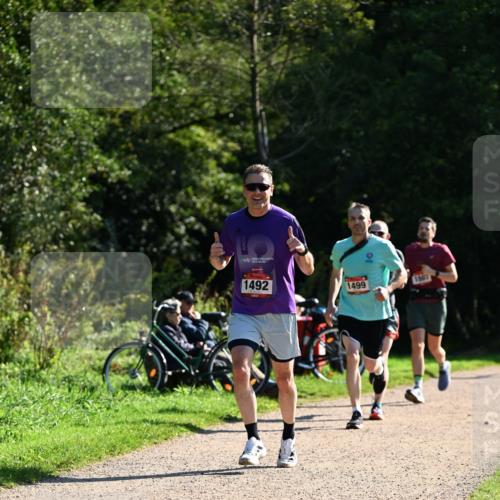 27.09.2026 - 35. Volkslauf durch das schöne Alstertal Dr. Thomas Lammeyer http://msf.ph/oto/10576838 27.09.2026 11:47:04 Laufen 1492, 1507, 1499 meine-sportfotos.de