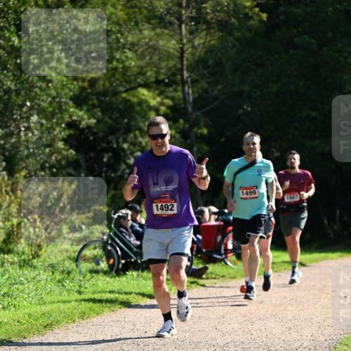 27.09.2026 - 35. Volkslauf durch das schöne Alstertal Dr. Thomas Lammeyer http://msf.ph/oto/10576841 27.09.2026 11:47:05 Laufen 1499, 1492, 1507 meine-sportfotos.de