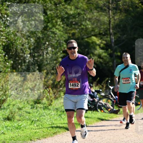 27.09.2026 - 35. Volkslauf durch das schöne Alstertal Dr. Thomas Lammeyer http://msf.ph/oto/10576842 27.09.2026 11:47:05 Laufen 1492, 1499 meine-sportfotos.de