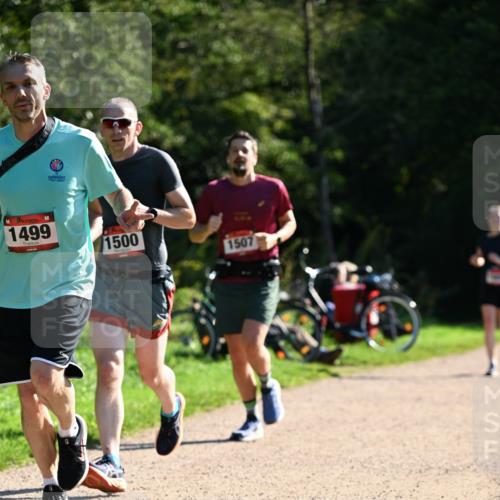 27.09.2026 - 35. Volkslauf durch das schöne Alstertal Dr. Thomas Lammeyer http://msf.ph/oto/10576861 27.09.2026 11:47:07 Laufen 1499, 1500, 1507 meine-sportfotos.de