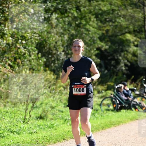27.09.2026 - 35. Volkslauf durch das schöne Alstertal Dr. Thomas Lammeyer http://msf.ph/oto/10576891 27.09.2026 11:47:13 Laufen 1008 meine-sportfotos.de