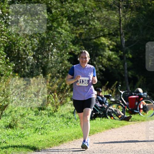 27.09.2026 - 35. Volkslauf durch das schöne Alstertal Dr. Thomas Lammeyer http://msf.ph/oto/10576924 27.09.2026 11:48:15 Laufen 3136 meine-sportfotos.de