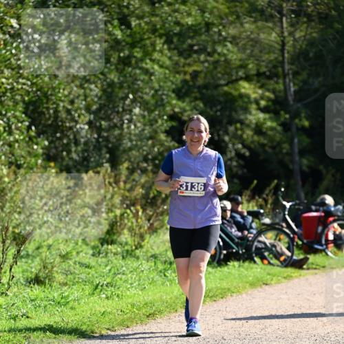 27.09.2026 - 35. Volkslauf durch das schöne Alstertal Dr. Thomas Lammeyer http://msf.ph/oto/10576925 27.09.2026 11:48:15 Laufen 3136 meine-sportfotos.de