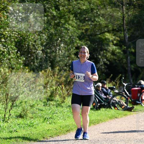 27.09.2026 - 35. Volkslauf durch das schöne Alstertal Dr. Thomas Lammeyer http://msf.ph/oto/10576926 27.09.2026 11:48:16 Laufen 3136 meine-sportfotos.de