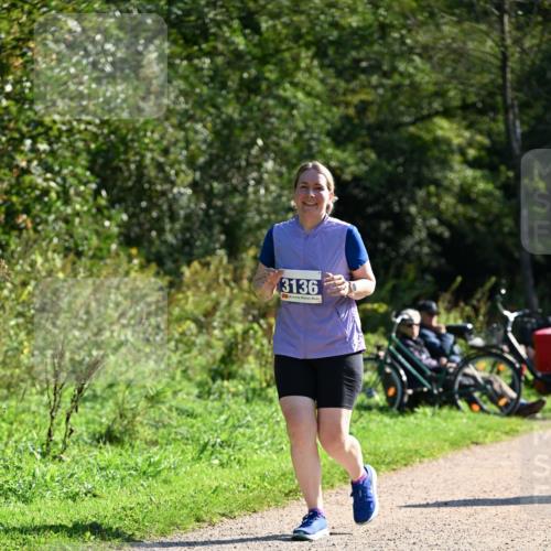27.09.2026 - 35. Volkslauf durch das schöne Alstertal Dr. Thomas Lammeyer http://msf.ph/oto/10576928 27.09.2026 11:48:16 Laufen 3136 meine-sportfotos.de
