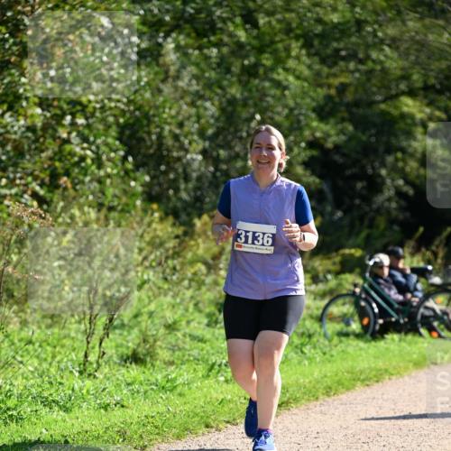 27.09.2026 - 35. Volkslauf durch das schöne Alstertal Dr. Thomas Lammeyer http://msf.ph/oto/10576933 27.09.2026 11:48:16 Laufen 3136 meine-sportfotos.de
