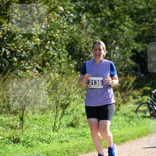 27.09.2026 - 35. Volkslauf durch das schöne Alstertal Dr. Thomas Lammeyer http://msf.ph/oto/10576937 27.09.2026 11:48:17 Laufen 3136 meine-sportfotos.de