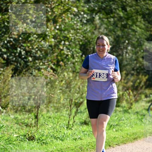 27.09.2026 - 35. Volkslauf durch das schöne Alstertal Dr. Thomas Lammeyer http://msf.ph/oto/10576940 27.09.2026 11:48:17 Laufen 3136 meine-sportfotos.de
