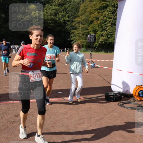 27.09.2026 - 35. Volkslauf durch das schöne Alstertal Strokosch-Dieckow http://msf.ph/oto/10576962 27.09.2026 12:31:20 Ziel 1086, 1649, 2011, 2012, 2013, 2198, 2310 meine-sportfotos.de
