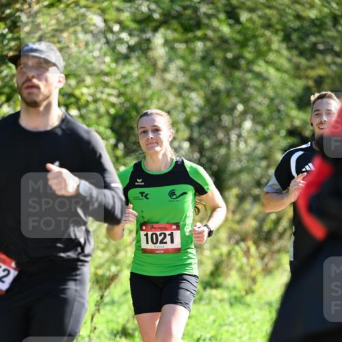 27.09.2026 - 35. Volkslauf durch das schöne Alstertal Dr. Thomas Lammeyer http://msf.ph/oto/10576964 27.09.2026 11:48:26 Laufen 1021 meine-sportfotos.de