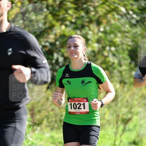 27.09.2026 - 35. Volkslauf durch das schöne Alstertal Dr. Thomas Lammeyer http://msf.ph/oto/10576970 27.09.2026 11:48:27 Laufen 1021 meine-sportfotos.de