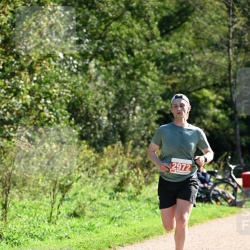 27.09.2026 - 35. Volkslauf durch das schöne Alstertal Dr. Thomas Lammeyer http://msf.ph/oto/10576995 27.09.2026 11:49:12 Laufen 2972 meine-sportfotos.de