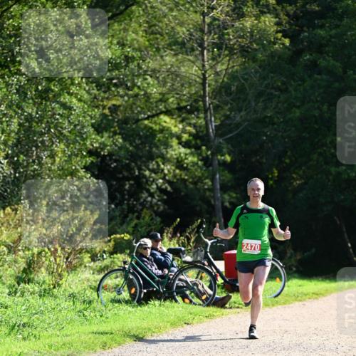27.09.2026 - 35. Volkslauf durch das schöne Alstertal Dr. Thomas Lammeyer http://msf.ph/oto/10577034 27.09.2026 11:49:27 Laufen 2470 meine-sportfotos.de