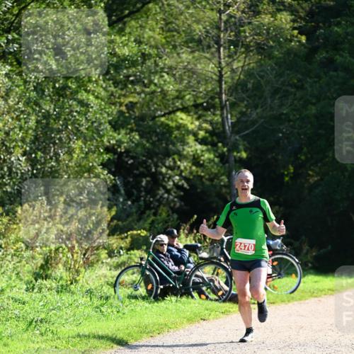 27.09.2026 - 35. Volkslauf durch das schöne Alstertal Dr. Thomas Lammeyer http://msf.ph/oto/10577039 27.09.2026 11:49:27 Laufen 2470 meine-sportfotos.de