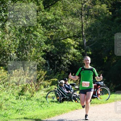 27.09.2026 - 35. Volkslauf durch das schöne Alstertal Dr. Thomas Lammeyer http://msf.ph/oto/10577041 27.09.2026 11:49:27 Laufen 2470 meine-sportfotos.de