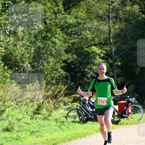 27.09.2026 - 35. Volkslauf durch das schöne Alstertal Dr. Thomas Lammeyer http://msf.ph/oto/10577046 27.09.2026 11:49:28 Laufen 2470 meine-sportfotos.de