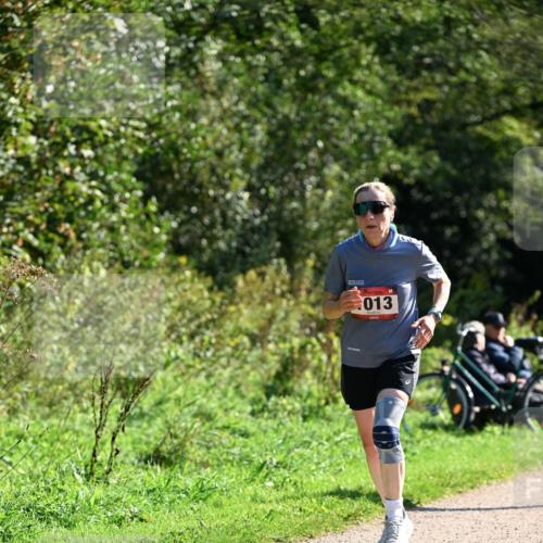 27.09.2026 - 35. Volkslauf durch das schöne Alstertal Dr. Thomas Lammeyer http://msf.ph/oto/10577058 27.09.2026 11:49:38 Laufen 013 meine-sportfotos.de