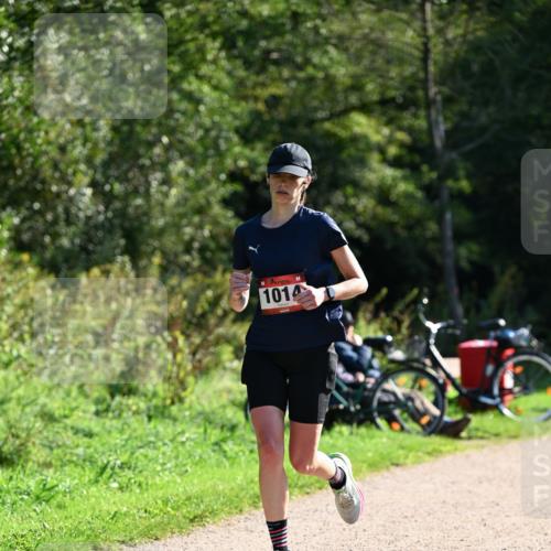 27.09.2026 - 35. Volkslauf durch das schöne Alstertal Dr. Thomas Lammeyer http://msf.ph/oto/10577068 27.09.2026 11:49:40 Laufen 1014 meine-sportfotos.de