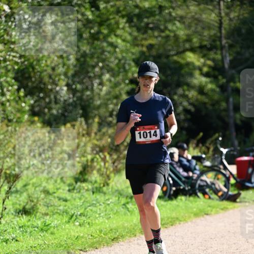 27.09.2026 - 35. Volkslauf durch das schöne Alstertal Dr. Thomas Lammeyer http://msf.ph/oto/10577070 27.09.2026 11:49:40 Laufen 1014 meine-sportfotos.de