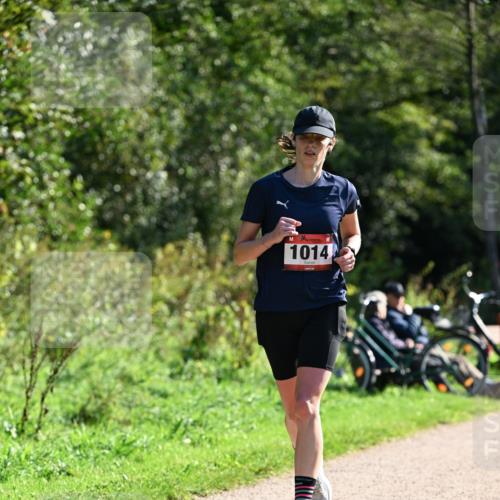 27.09.2026 - 35. Volkslauf durch das schöne Alstertal Dr. Thomas Lammeyer http://msf.ph/oto/10577071 27.09.2026 11:49:40 Laufen 1014 meine-sportfotos.de