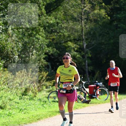 27.09.2026 - 35. Volkslauf durch das schöne Alstertal Dr. Thomas Lammeyer http://msf.ph/oto/10577083 27.09.2026 11:49:55 Laufen 10, 1535 meine-sportfotos.de