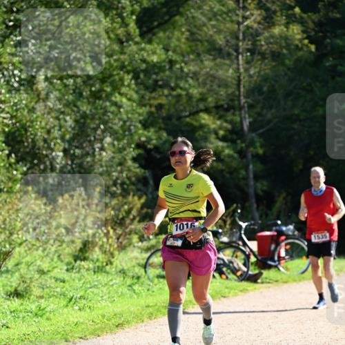 27.09.2026 - 35. Volkslauf durch das schöne Alstertal Dr. Thomas Lammeyer http://msf.ph/oto/10577084 27.09.2026 11:49:56 Laufen 1016, 1535 meine-sportfotos.de