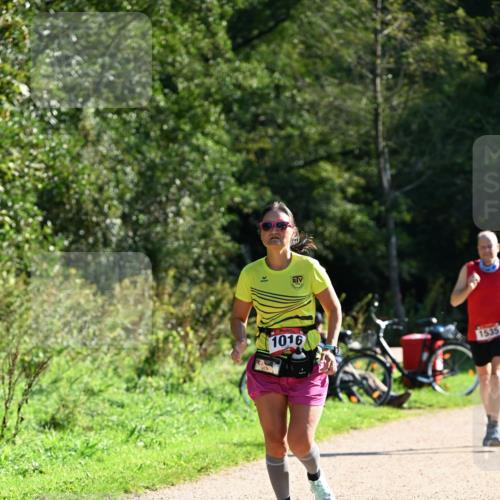27.09.2026 - 35. Volkslauf durch das schöne Alstertal Dr. Thomas Lammeyer http://msf.ph/oto/10577085 27.09.2026 11:49:56 Laufen 1016, 1535 meine-sportfotos.de