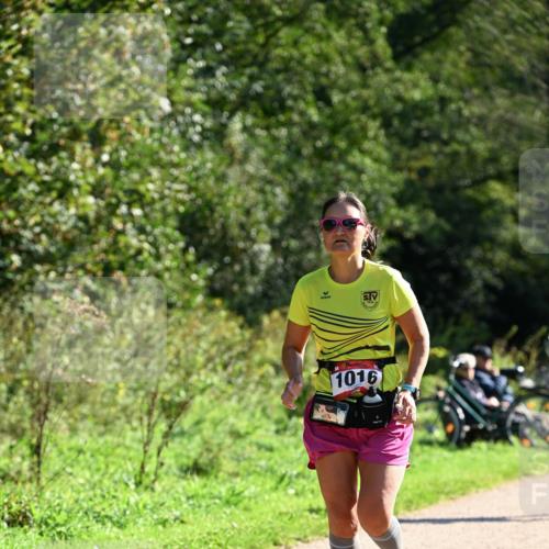27.09.2026 - 35. Volkslauf durch das schöne Alstertal Dr. Thomas Lammeyer http://msf.ph/oto/10577092 27.09.2026 11:49:56 Laufen 1016 meine-sportfotos.de