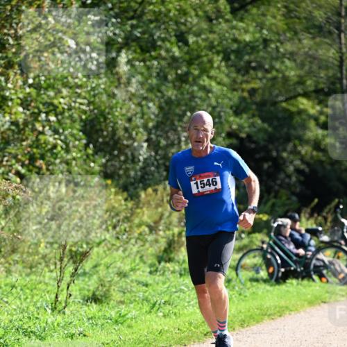 27.09.2026 - 35. Volkslauf durch das schöne Alstertal Dr. Thomas Lammeyer http://msf.ph/oto/10577112 27.09.2026 11:50:09 Laufen 1546 meine-sportfotos.de