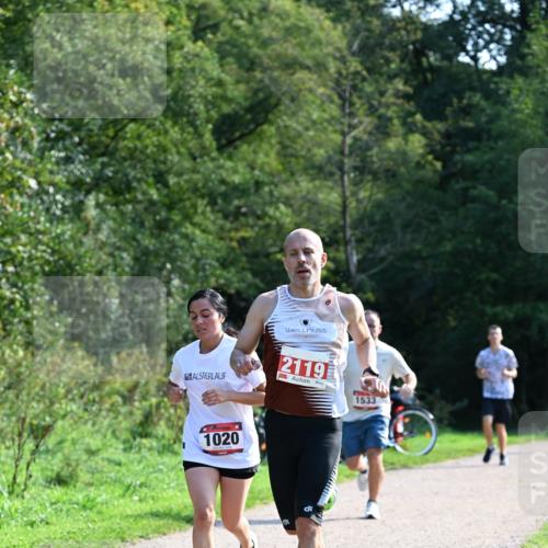 27.09.2026 - 35. Volkslauf durch das schöne Alstertal Dr. Thomas Lammeyer http://msf.ph/oto/10577164 27.09.2026 11:50:37 Laufen 1020, 2119, 1533 meine-sportfotos.de