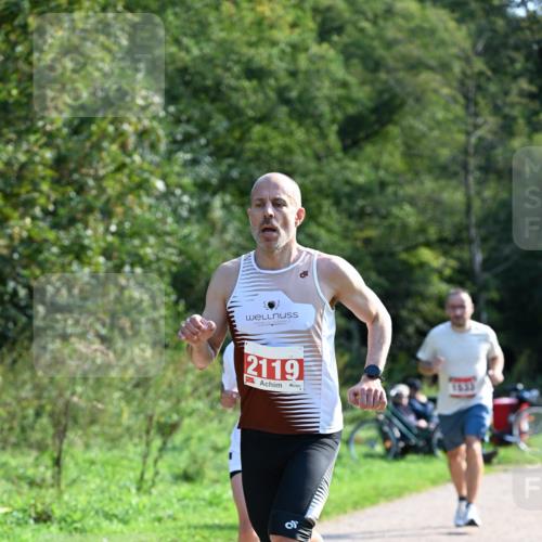 27.09.2026 - 35. Volkslauf durch das schöne Alstertal Dr. Thomas Lammeyer http://msf.ph/oto/10577168 27.09.2026 11:50:37 Laufen 2119 meine-sportfotos.de