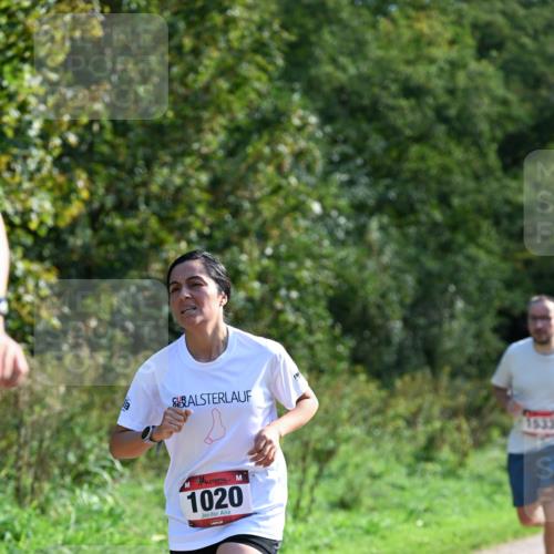 27.09.2026 - 35. Volkslauf durch das schöne Alstertal Dr. Thomas Lammeyer http://msf.ph/oto/10577175 27.09.2026 11:50:38 Laufen 1833, 1020 meine-sportfotos.de