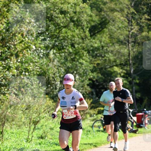 27.09.2026 - 35. Volkslauf durch das schöne Alstertal Dr. Thomas Lammeyer http://msf.ph/oto/10577207 27.09.2026 11:51:15 Laufen 2502, 156 meine-sportfotos.de