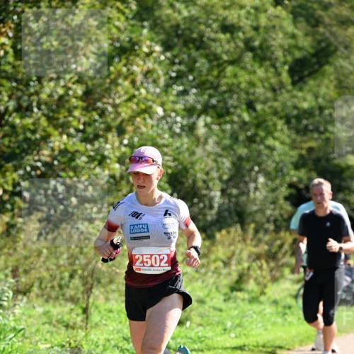 27.09.2026 - 35. Volkslauf durch das schöne Alstertal Dr. Thomas Lammeyer http://msf.ph/oto/10577212 27.09.2026 11:51:15 Laufen 2502 meine-sportfotos.de