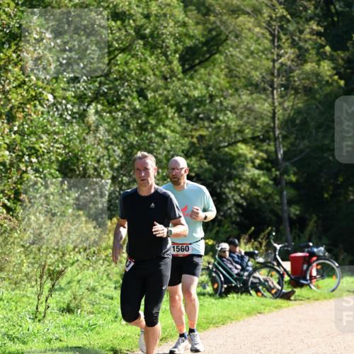 27.09.2026 - 35. Volkslauf durch das schöne Alstertal Dr. Thomas Lammeyer http://msf.ph/oto/10577214 27.09.2026 11:51:16 Laufen 1560 meine-sportfotos.de