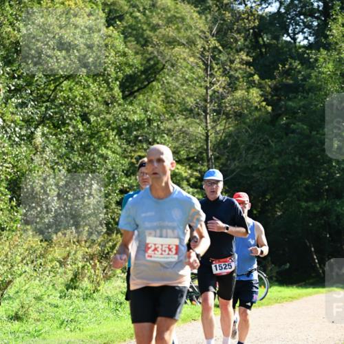 27.09.2026 - 35. Volkslauf durch das schöne Alstertal Dr. Thomas Lammeyer http://msf.ph/oto/10577246 27.09.2026 11:51:28 Laufen 2353, 1525 meine-sportfotos.de