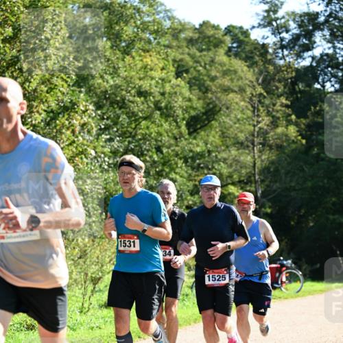 27.09.2026 - 35. Volkslauf durch das schöne Alstertal Dr. Thomas Lammeyer http://msf.ph/oto/10577253 27.09.2026 11:51:29 Laufen 1531, 34, 1525 meine-sportfotos.de
