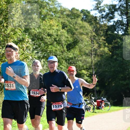 27.09.2026 - 35. Volkslauf durch das schöne Alstertal Dr. Thomas Lammeyer http://msf.ph/oto/10577257 27.09.2026 11:51:29 Laufen 1531, 1534, 1525 meine-sportfotos.de