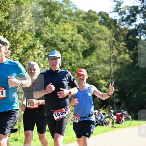 27.09.2026 - 35. Volkslauf durch das schöne Alstertal Dr. Thomas Lammeyer http://msf.ph/oto/10577260 27.09.2026 11:51:29 Laufen 31, 1525, 1517 meine-sportfotos.de