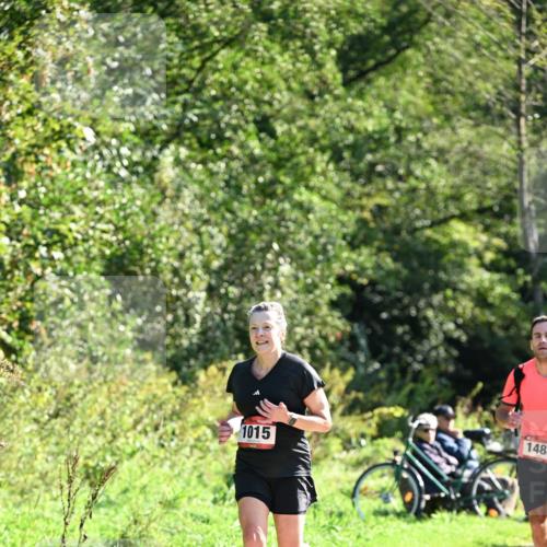 27.09.2026 - 35. Volkslauf durch das schöne Alstertal Dr. Thomas Lammeyer http://msf.ph/oto/10577285 27.09.2026 11:51:43 Laufen 1015, 1488 meine-sportfotos.de