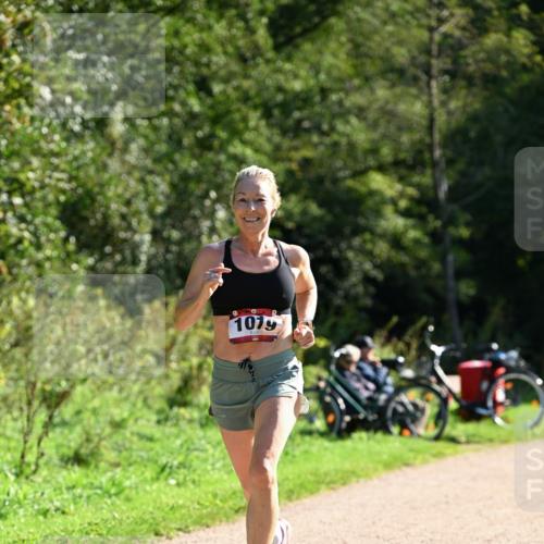 27.09.2026 - 35. Volkslauf durch das schöne Alstertal Dr. Thomas Lammeyer http://msf.ph/oto/10577327 27.09.2026 11:51:59 Laufen 1079 meine-sportfotos.de