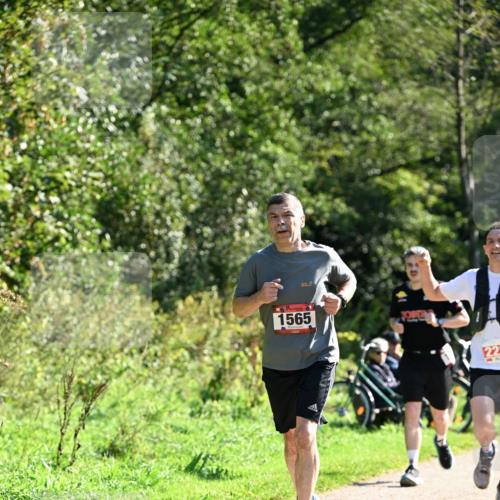 27.09.2026 - 35. Volkslauf durch das schöne Alstertal Dr. Thomas Lammeyer http://msf.ph/oto/10577337 27.09.2026 11:52:11 Laufen 1565, 22 meine-sportfotos.de