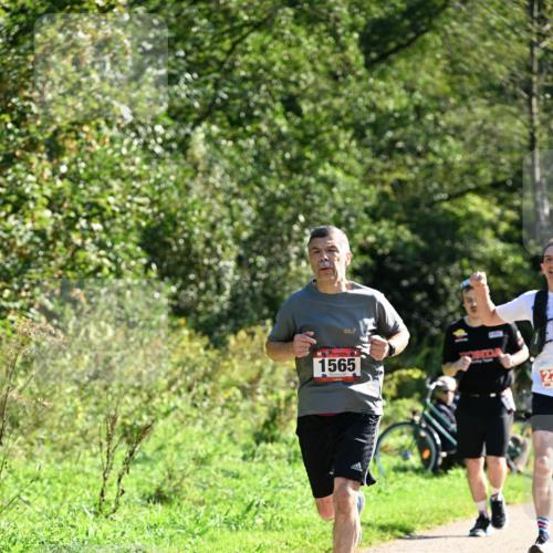 27.09.2026 - 35. Volkslauf durch das schöne Alstertal Dr. Thomas Lammeyer http://msf.ph/oto/10577339 27.09.2026 11:52:12 Laufen 1565, 22 meine-sportfotos.de